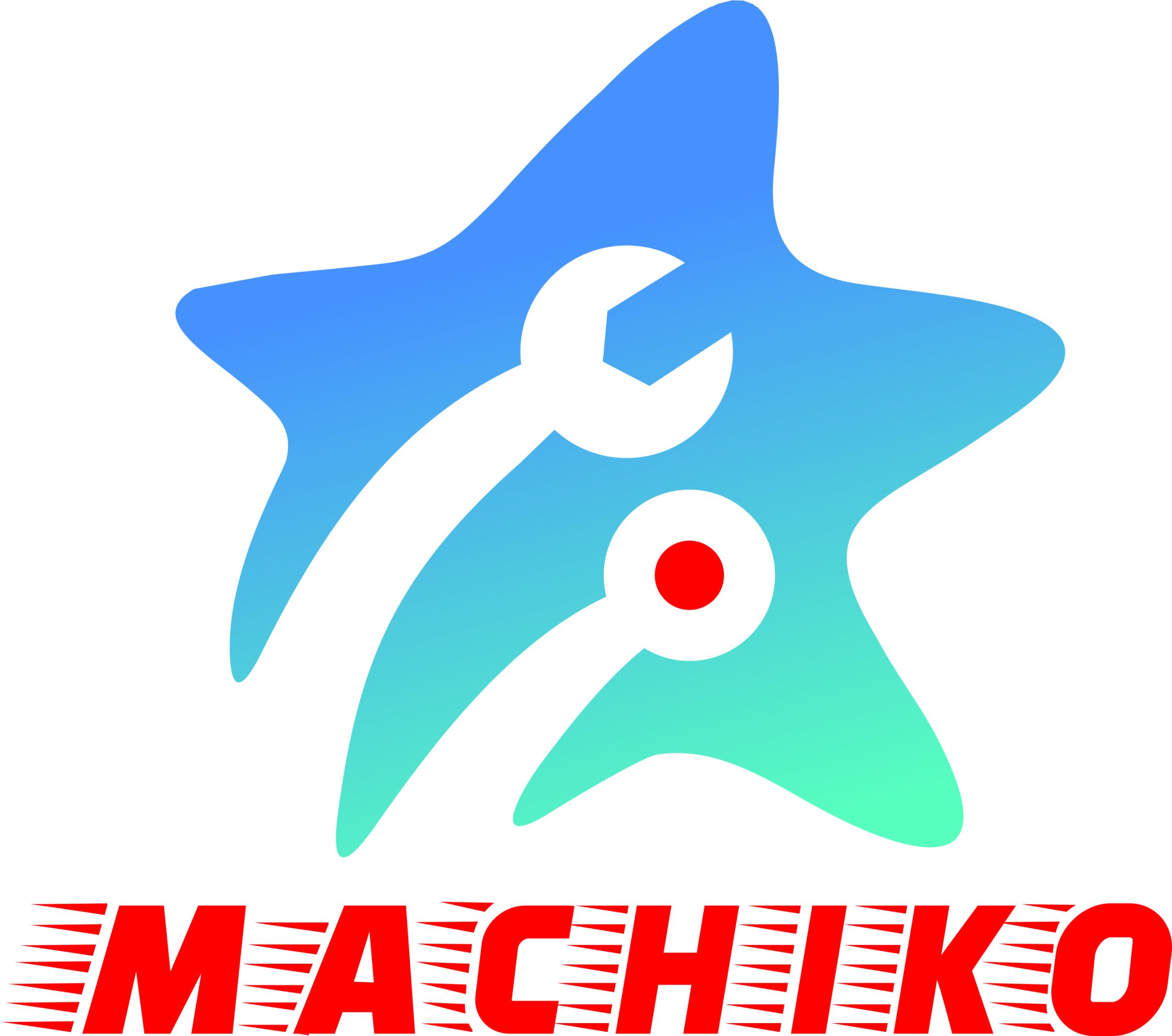 Machiko Việt Nam